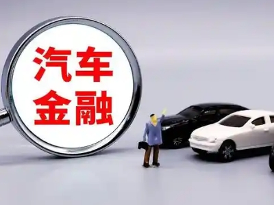华新押车贷款不是本人可以么?